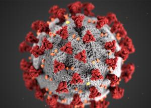 Image of coronavirus cell